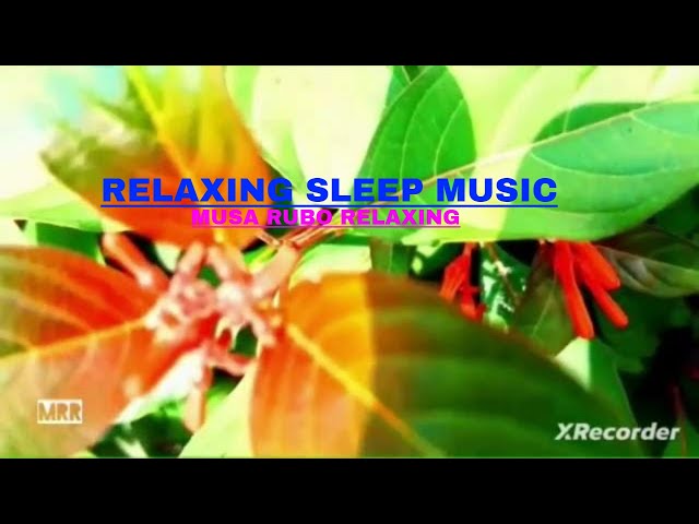 Beautiful piano Music Relaxing Sleep Music Study Music