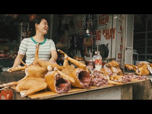 Vietnam's Most SHOCKING & Diverse Ethnic Market - The Exotic Meats of Mung Lo