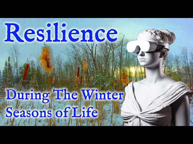 Resilience During The Winter Seasons of Life | Virtual Reality / VR180