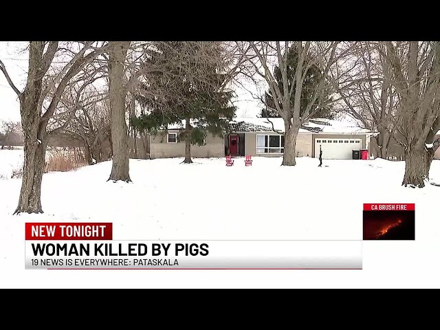 Ohio woman killed, partially eaten by neighbor’s pigs