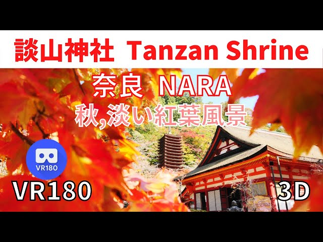 VR180  Japan NARA Tanzan Jinja Shrine 奈良 談山神社 01 淡い紅葉