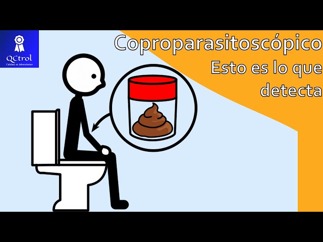 What is coproparasitoscopic? Discover the usefulness of this test