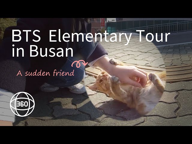 [Korea pada 360] Tur SD BTS di Busan / Hoedong Elementary School /