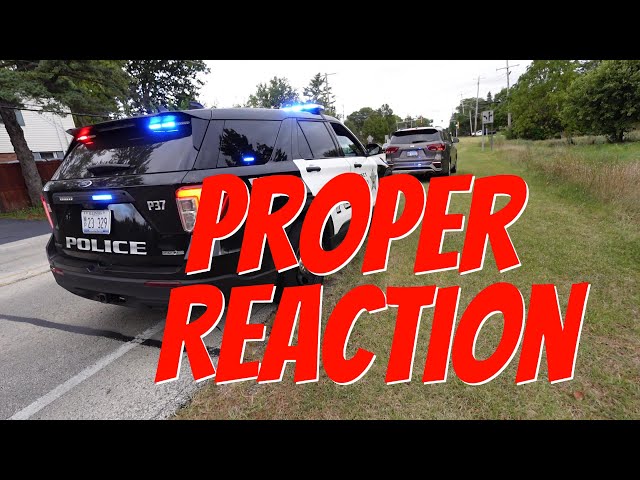 Proper Reaction to an Auditor During a Traffic Stop