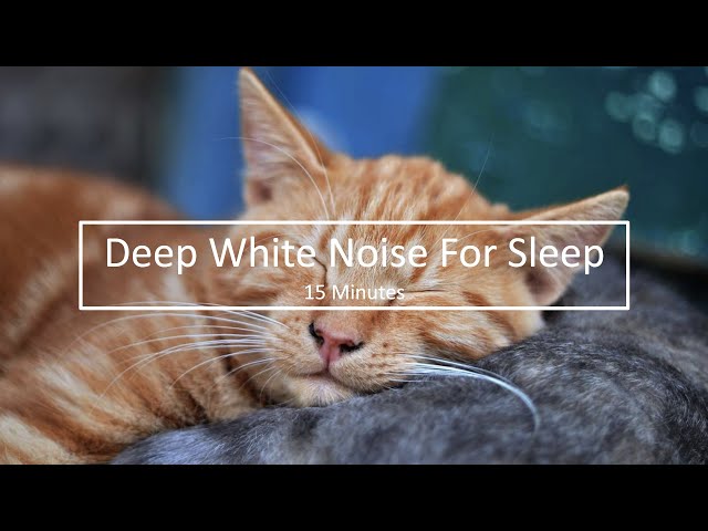 Deep White Noise Black Screen | 15 Minutes for Deep Sleep and Relaxation