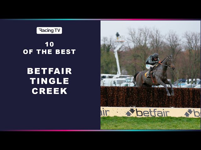 10 Of The Best - Tingle Creek