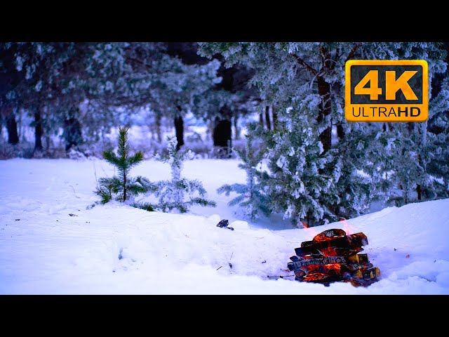 🔥 Cozy Campfire in the Winter Forest (12 HOURS). Campfire Ambience with Crackling Fire Sounds