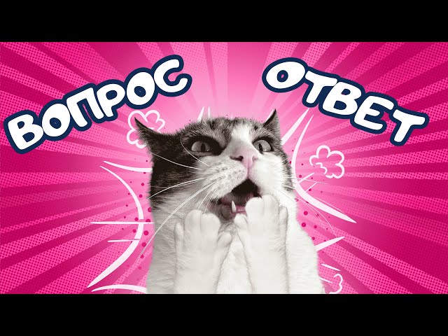 Кошка Мята: вопрос-ответ😱