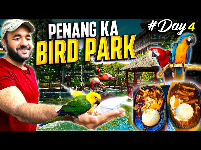 Penang Bird Park Adventure | Urdu/Hindi Travel Vlog | Budget Travel Malaysia Day 4