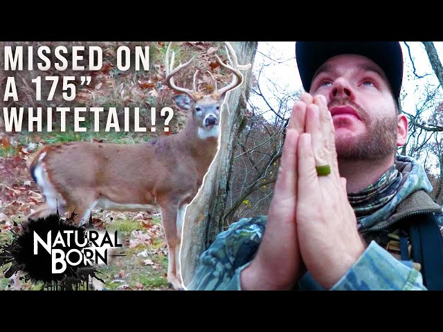 MISSED On A 175" Whitetail!? | Natural Born