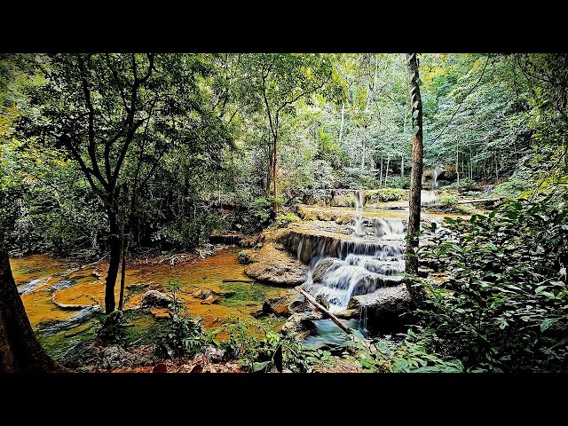 Relaxing Jungle Waterfall 🌴 Nature Sounds for Sleep & Meditation | 10 Hours