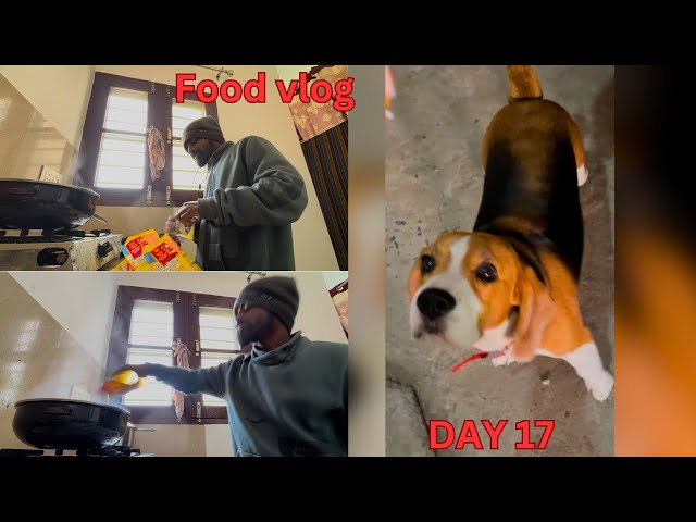 FOOD VLOGGING || DAY 17 || 30 DAYS VLOG CHALLENGE || ​⁠@Prabhatraj1505