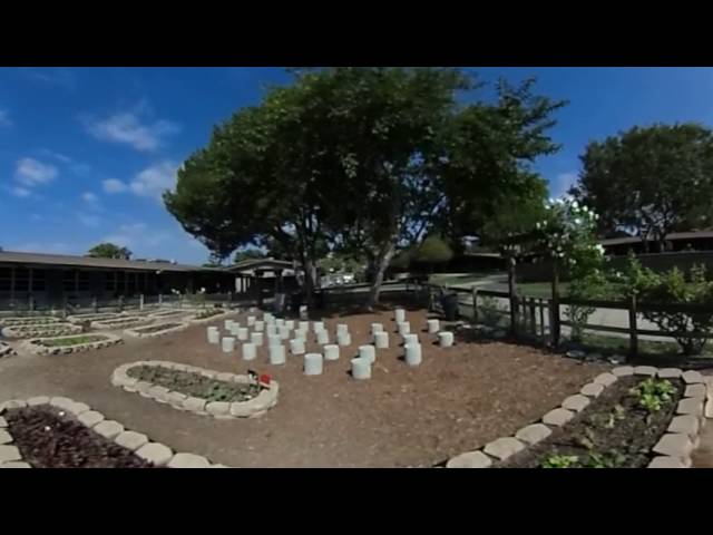 Community Roots Academy garden tour (360 degree view)