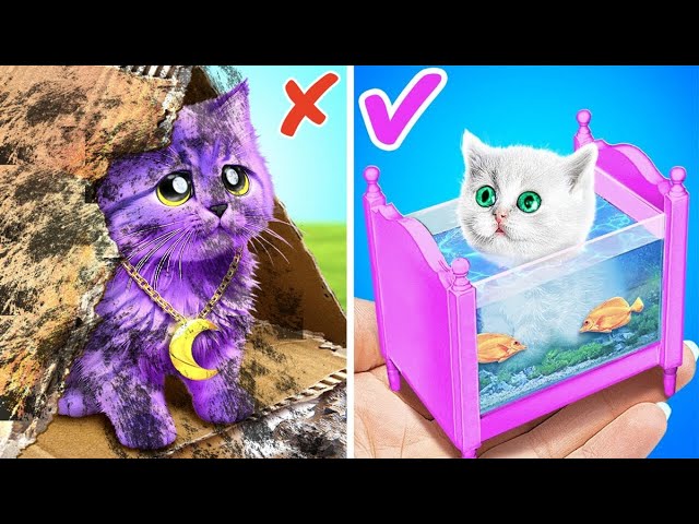 Please Save Tiny Kitten! 🐱 Secret House for Cat 🐾 *Cool Pet Gadgets and Miniature Crafts for Dolls*