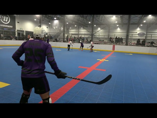 @NationalBallHockeyLeague3 @NBHL EGGPLANTS vs ALLSTARS NATIONAL BALL HOCKEY LEAGUE CANADA  DEK GOPRO