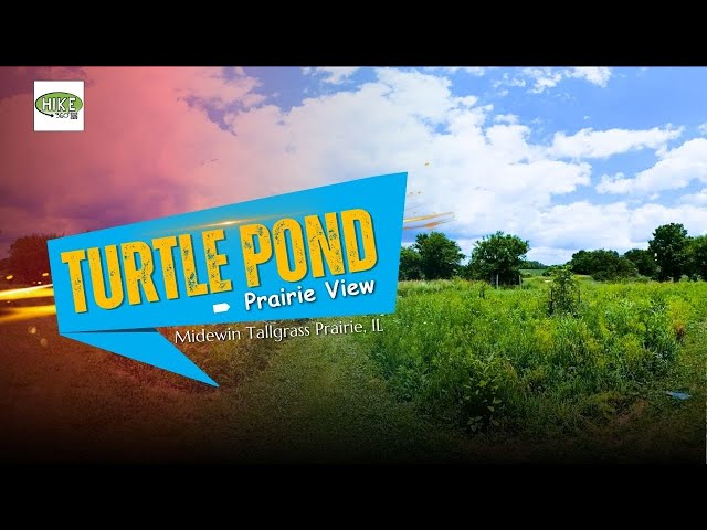 Midewin Tallgrass Prairie, IL - Turtle Pond Prairie View (360 Video, VR)