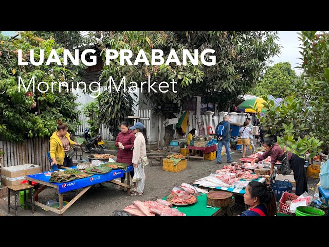 Must visit in 2025! Luang Prabang - Morning Market, authentic and beautiful