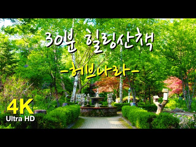 [30분 힐링산책] 평창여행 싱그러운 아침 허브나라정원 산책 풍경 |  Walking in The Herbnara(30min)