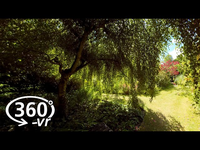 Under Trees - Garden 360