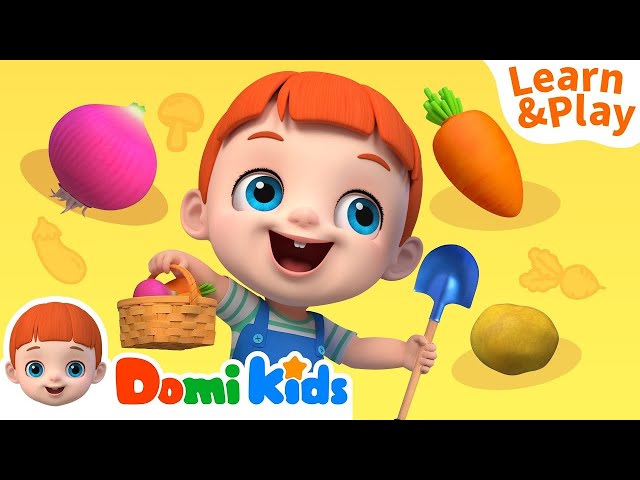 🔴LIVE📺[TV-Y] Learning Through Play: Educational Fun with Domi Kids