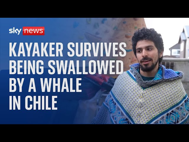 Kayaker survives being swallowed by humpback whale in Chile