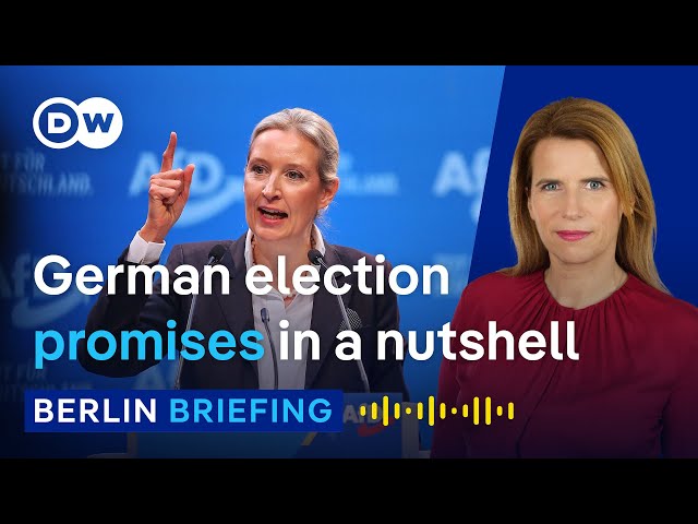 Germany's elections: Here's what the major parties promise voters | Berlin Briefing Podcast