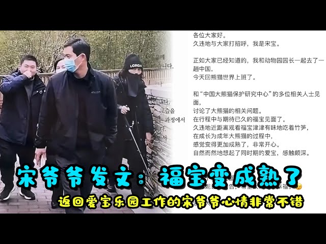 2月20宋爷爷正式发文公开和福宝见面，近距离观看福宝吃竹笋，福宝成熟了#大熊猫福宝 #福宝和宋爷爷#판다 #panda #푸바오