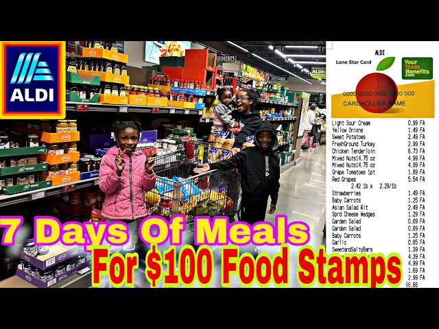 HOW I SAVE BIG ON GROCERIES AT ALDI WITH A $100 FOO STAMP BUDGET