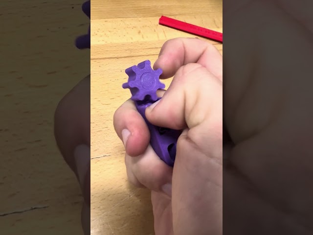 3D PRINTED FIDGET TOY (INTERNAL WORKINGS)