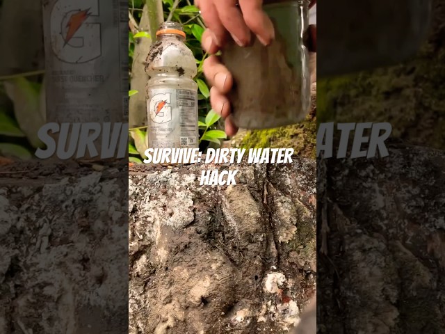 How to Filter Dirty Water with a Bottle and Stick: Simple Survival Hack! #diy #survival