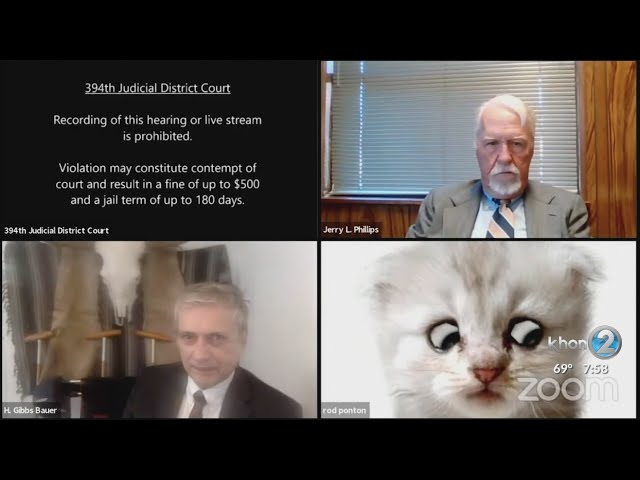 Texas attorney accidentally appears as cat in virtual courtroom hearing