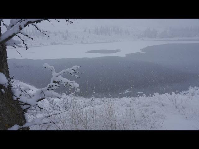 Slow motion snowfall at lake