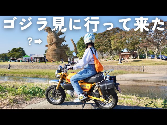 【まるで本物】全身ワラで作られた超巨大ゴジラ‼︎ 小さなバイクで見に行って来た！