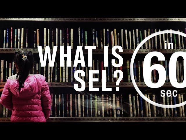 What is SEL, anyway? | IN 60 SECONDS