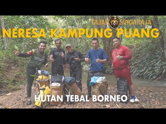 Hiking & Camping Di Sarawak Borneo/Jumpa Sarang Babi Hutan/Populasi Babi Makin Bertambah