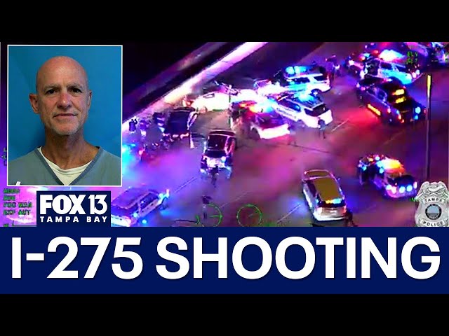 Deadly hit-and-run suspect shot and killed by Tampa police after I-275 pursuit