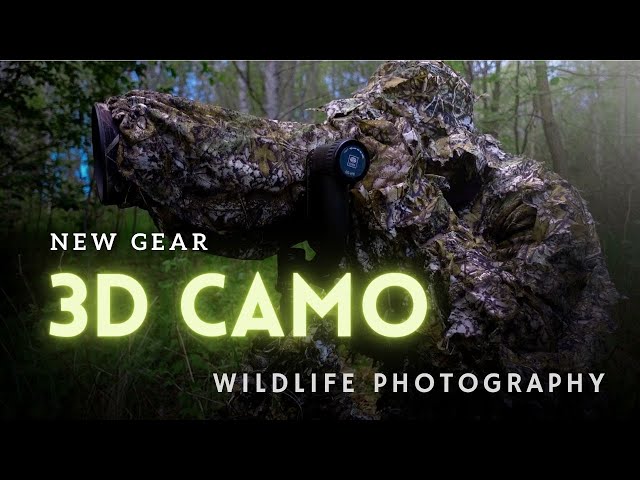 DISAPPEAR with this 3D CAMO | Moody Wildlife Photography