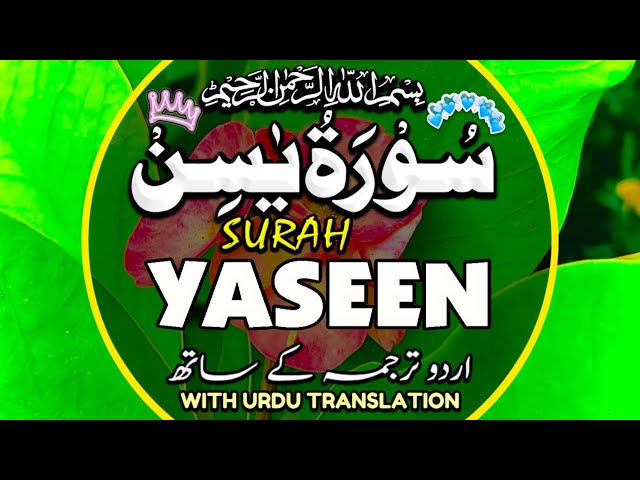 Surah Yasin(Yaseen) | Full With Arabic | Beautiful recitation|یس سورہ 36|000116|edit&pgdinz