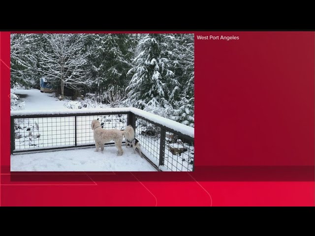 Viewers share their snow photos from across western Washington