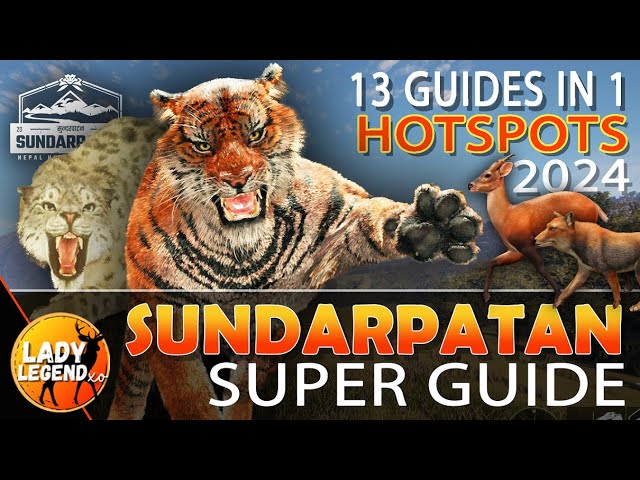 SUNDARPATAN Hotspot SUPER GUIDE - Call of the Wild