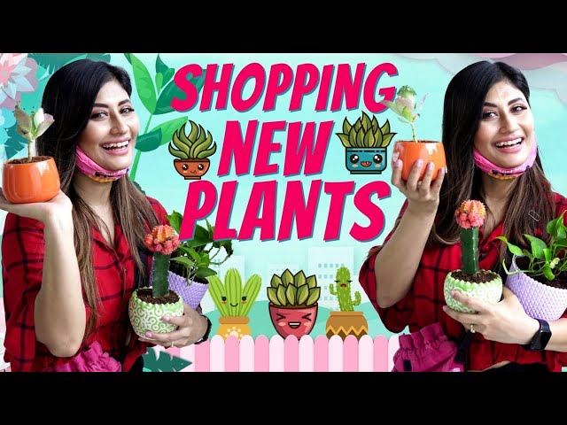 Shopping New Plants for My House | Sunita Xpress