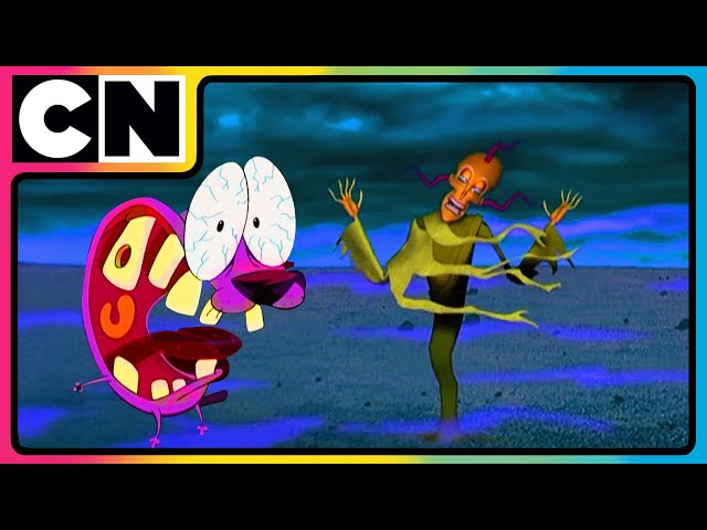 Courage The Cowardly Dog | The Vampire 🧛 Muriel Mystery! | Compilation | @cnindia