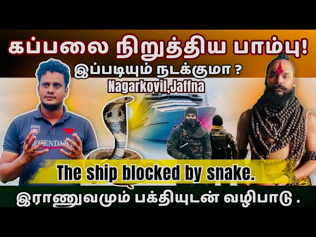 கப்பலை மறித்த பாம்பு 🐍| The snake that blocked the ship😳 | Jaffna |  @TheTamilAI#nagarkovil #jaffna