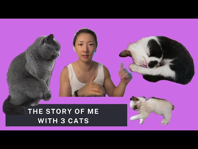 A Special Episode to Honor the Furry Friends in My Life(Intermediate Chinese)