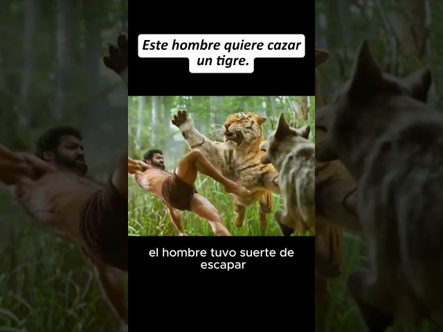 ESTE HOMBRE QUIERE CASAR UN TIGRE #peliculas2024 #peliculasnetflix #movie #peliculasdenetflix #film