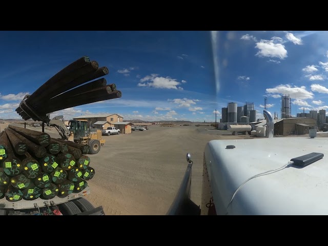 50,000 Pounds of Sequestered Carbon #4K #360