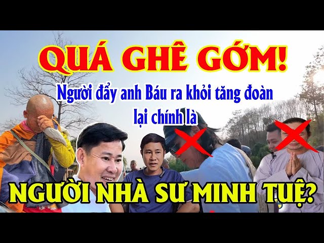 QUÁ GHÊ GỚM! Người Đẩy ANH BÁU RA KHỎI TĂNG ĐOÀN Lại Chính Là Người Nhà Sư MINH TUỆ