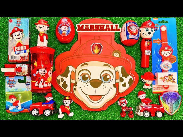 Paw Patrol MARSHALL Unboxing Toys | ASMR Video | Toy Treasure