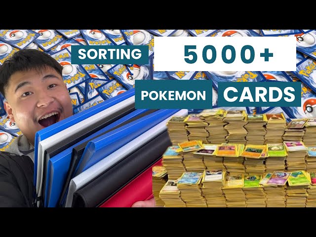 What 6 Months worth of Pokemon Card Collecting Got me | My Plans for PokemonTCG in 2025