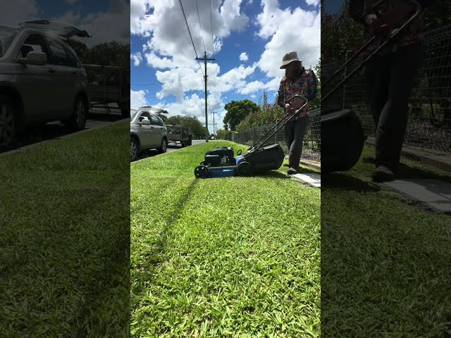 No pay! #reversevideo #whatwouldyoudo #yardwork #mowing #linetrimmer #shortsfeed #short